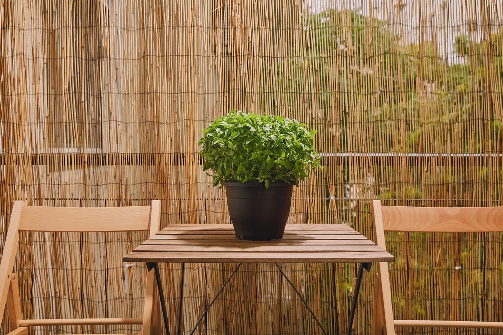Modern And Cozy Apartment In The Centre Of เอเธนส์ ภายนอก รูปภาพ